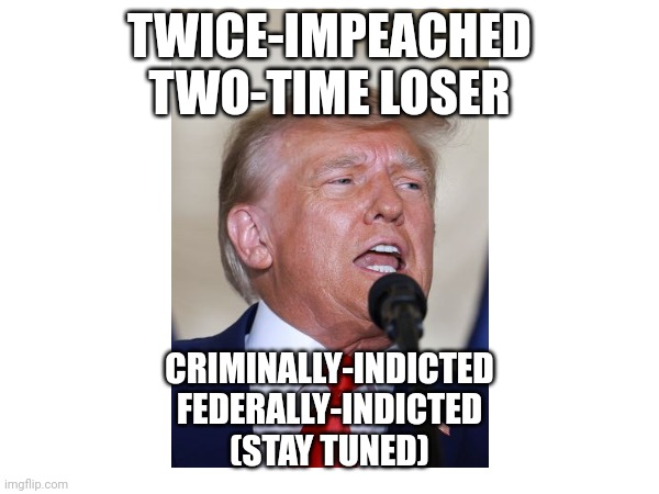 TWICE-IMPEACHED
TWO-TIME LOSER; CRIMINALLY-INDICTED
FEDERALLY-INDICTED
(STAY TUNED) | made w/ Imgflip meme maker