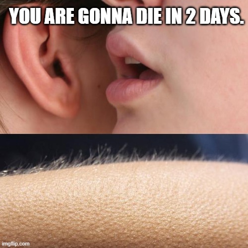 goosebump | YOU ARE GONNA DIE IN 2 DAYS. | image tagged in whisper and goosebumps | made w/ Imgflip meme maker