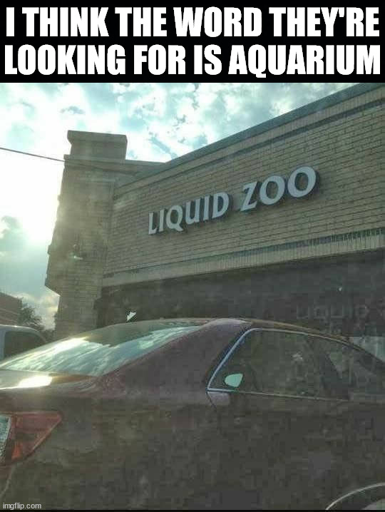 I THINK THE WORD THEY'RE
LOOKING FOR IS AQUARIUM | image tagged in you had one job | made w/ Imgflip meme maker