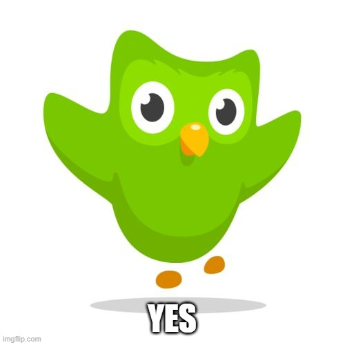 things duolingo teaches you | YES | image tagged in things duolingo teaches you | made w/ Imgflip meme maker