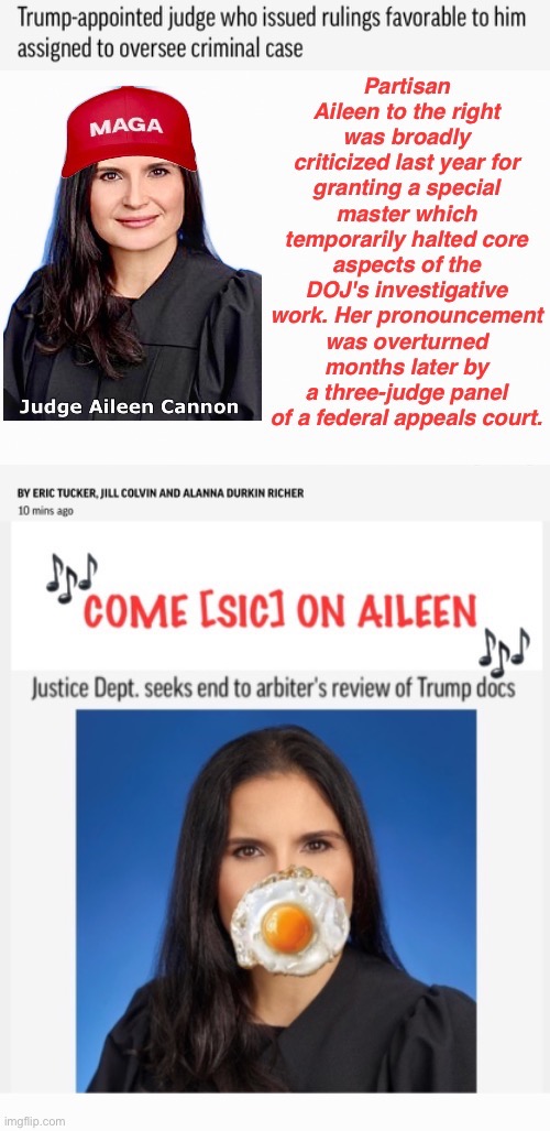 ...on Aileen | image tagged in if it smells partisan it must be florida,corrupt judges,airhead,bought and paid for | made w/ Imgflip meme maker