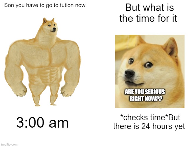Buff Doge vs. Cheems Meme | Son you have to go to tution now; But what is the time for it; ARE YOU SERIOUS   RIGHT NOW?? 3:00 am; *checks time*But there is 24 hours yet | image tagged in memes,buff doge vs cheems | made w/ Imgflip meme maker