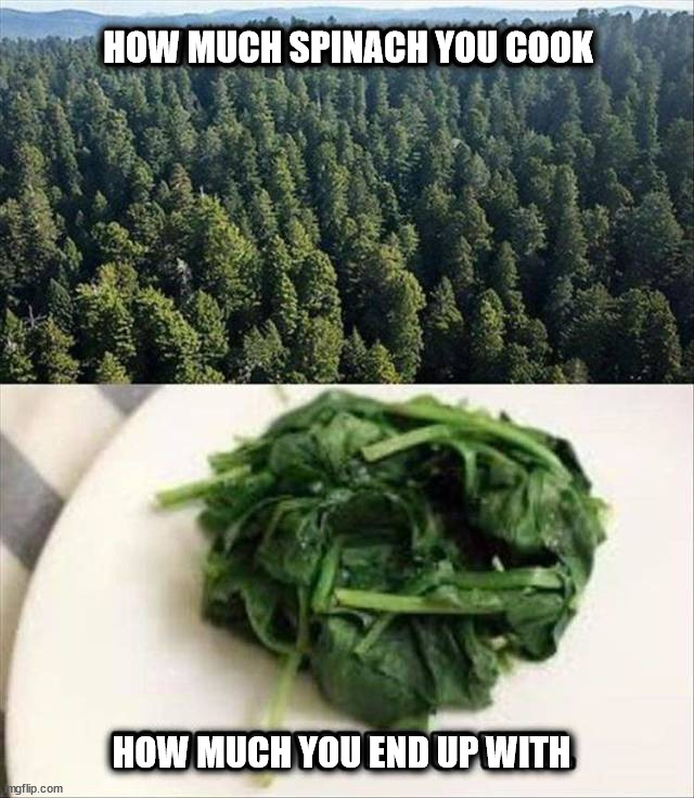 HOW MUCH SPINACH YOU COOK; HOW MUCH YOU END UP WITH | made w/ Imgflip meme maker