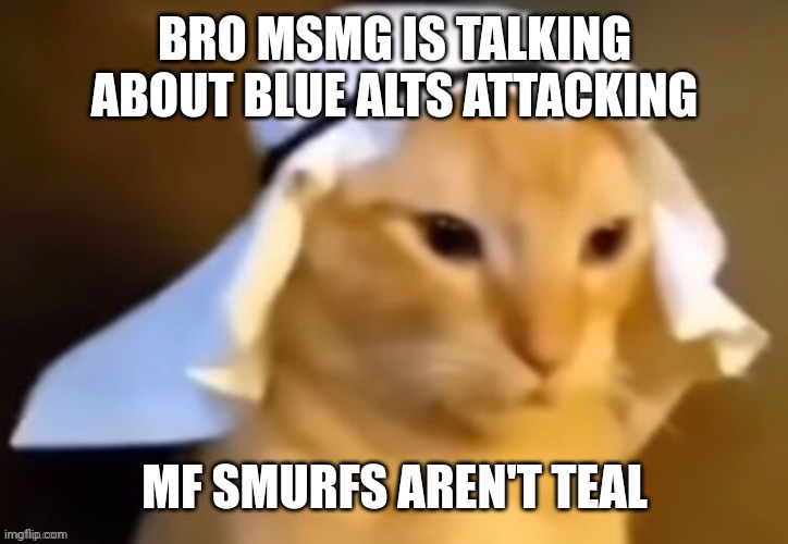 Real* | BRO MSMG IS TALKING ABOUT BLUE ALTS ATTACKING; MF SMURFS AREN'T TEAL | image tagged in haram cat | made w/ Imgflip meme maker