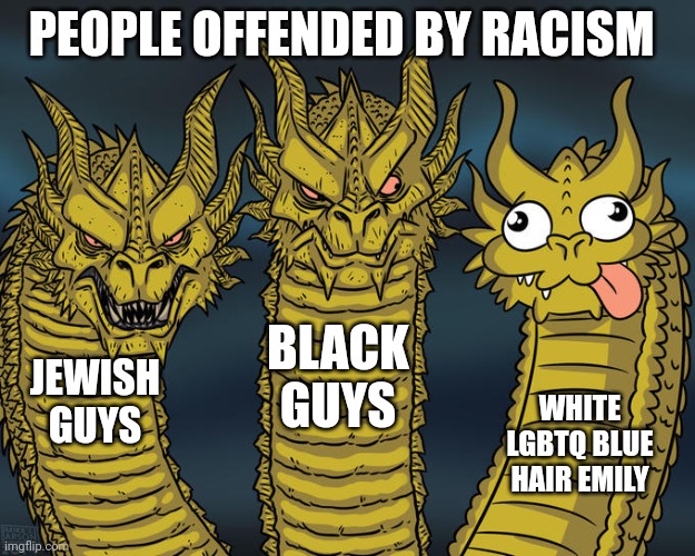 True | PEOPLE OFFENDED BY RACISM; BLACK GUYS; JEWISH GUYS; WHITE LGBTQ BLUE HAIR EMILY | image tagged in three-headed dragon | made w/ Imgflip meme maker