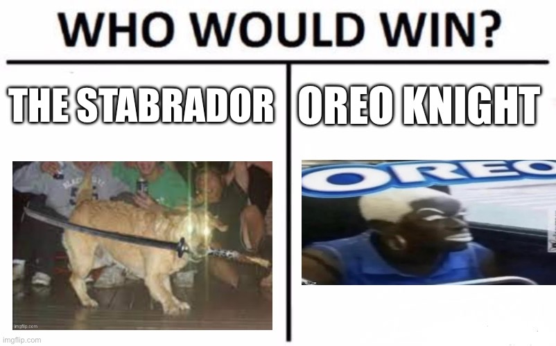 Who Would Win? Meme | THE STABRADOR; OREO KNIGHT | image tagged in memes,who would win | made w/ Imgflip meme maker