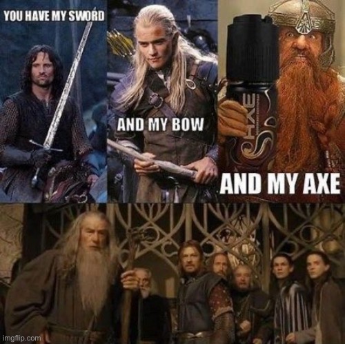 image tagged in not mine,lotr,you have my sword | made w/ Imgflip meme maker