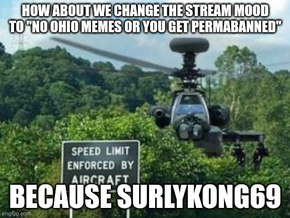 speed limit enforced by aircraft | HOW ABOUT WE CHANGE THE STREAM MOOD TO "NO OHIO MEMES OR YOU GET PERMABANNED"; BECAUSE SURLYKONG69 | image tagged in speed limit enforced by aircraft | made w/ Imgflip meme maker