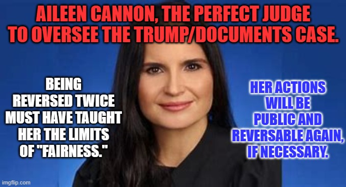 She is a sitting Federal Judge.  Let her do her job. | AILEEN CANNON, THE PERFECT JUDGE TO OVERSEE THE TRUMP/DOCUMENTS CASE. HER ACTIONS WILL BE PUBLIC AND REVERSABLE AGAIN, IF NECESSARY. BEING REVERSED TWICE MUST HAVE TAUGHT HER THE LIMITS OF "FAIRNESS." | image tagged in politics | made w/ Imgflip meme maker