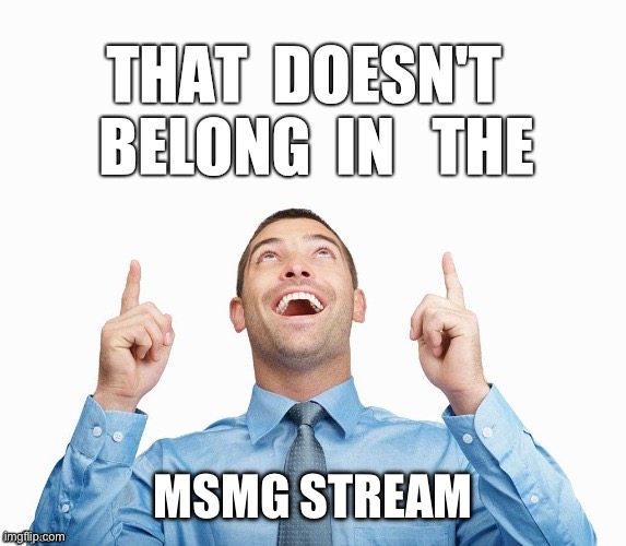 Wrong Stream | MSMG STREAM | image tagged in wrong stream | made w/ Imgflip meme maker