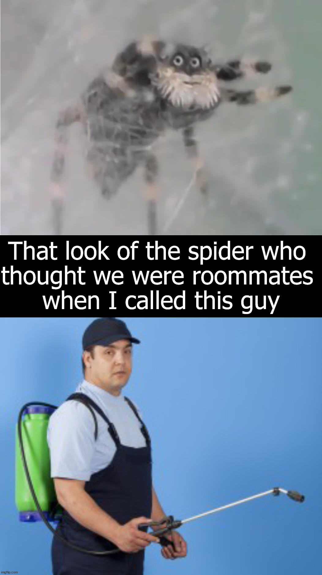 Thought we were friends | That look of the spider who 
thought we were roommates 
when I called this guy | image tagged in pest control guy,that look you give,spider,roommates,oh no | made w/ Imgflip meme maker