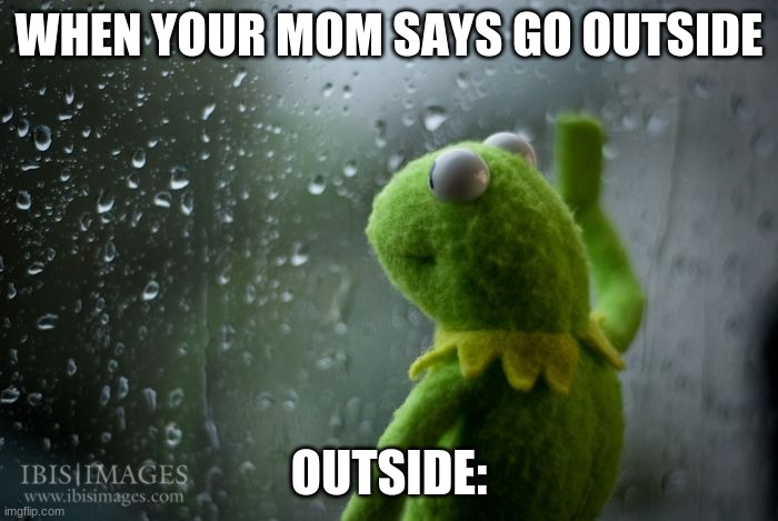 kermit window | WHEN YOUR MOM SAYS GO OUTSIDE; OUTSIDE: | image tagged in kermit window | made w/ Imgflip meme maker