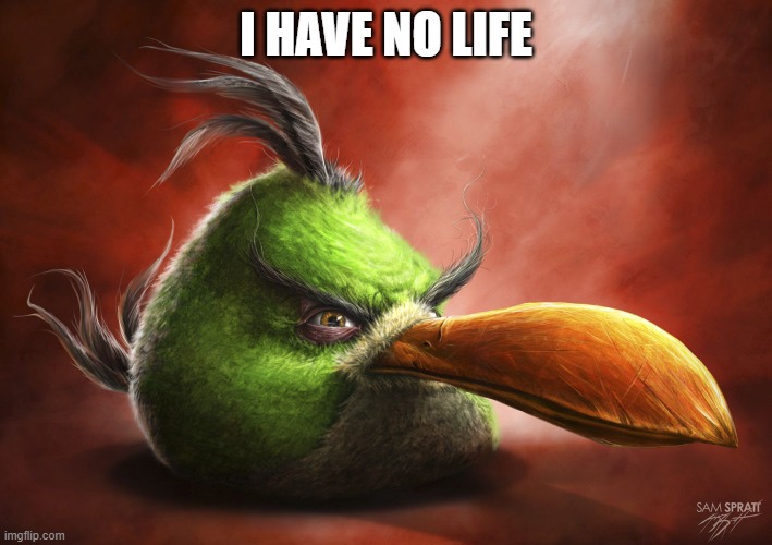 no life | I HAVE NO LIFE | image tagged in realistic angry bird,meme,fun | made w/ Imgflip meme maker