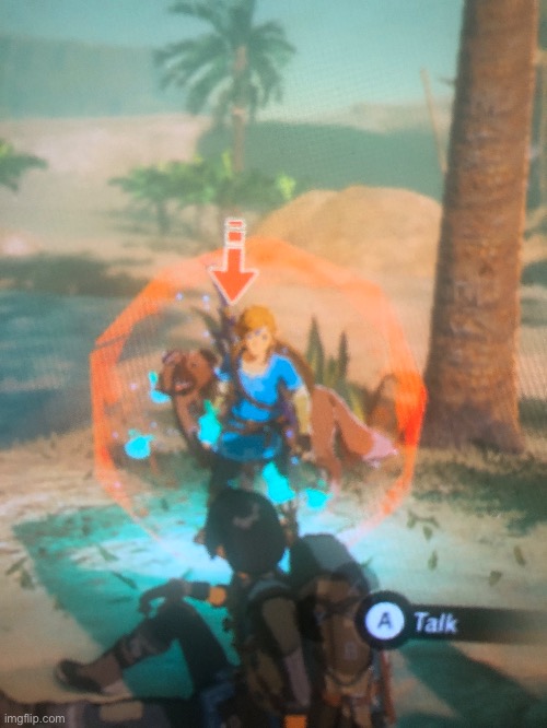 I must protect the doggo! | image tagged in botw,memes | made w/ Imgflip meme maker
