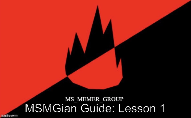 MS memer group flag | MSMGian Guide: Lesson 1 | image tagged in ms memer group flag | made w/ Imgflip meme maker