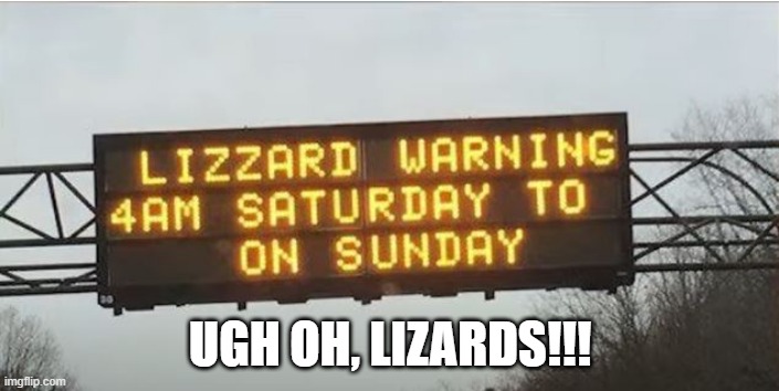 Lizard Warning | UGH OH, LIZARDS!!! | image tagged in you had one job | made w/ Imgflip meme maker