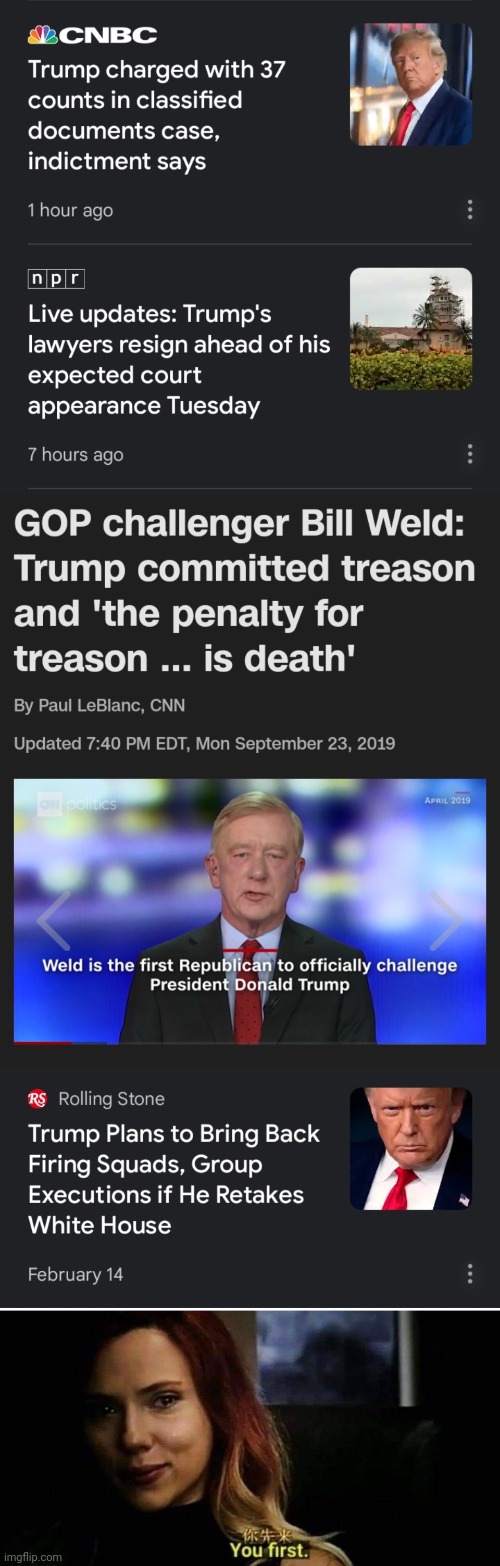 image tagged in bill weld 2024,you first,execute donald trump for treason | made w/ Imgflip meme maker