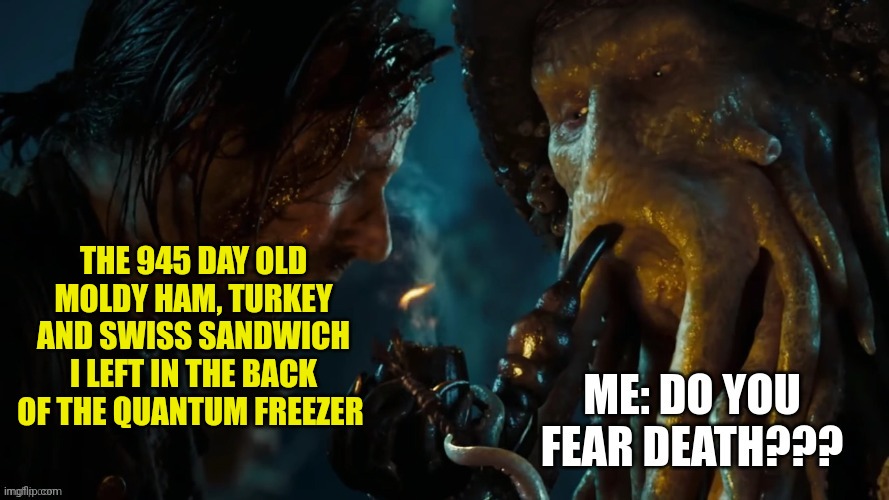 The quantum freezer couldn't keep you fresh | THE 945 DAY OLD MOLDY HAM, TURKEY AND SWISS SANDWICH I LEFT IN THE BACK OF THE QUANTUM FREEZER | image tagged in do you fear death | made w/ Imgflip meme maker