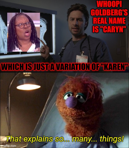 'Nuff said! | WHOOPI
GOLDBERG'S
REAL NAME
IS "CARYN"; WHICH IS JUST A VARIATION OF "KAREN"; That explains so... many... things! | image tagged in scrubs x-ray point,scrubs muppet that explains x,memes,new template,called,scrubs x-ray and muppet | made w/ Imgflip meme maker