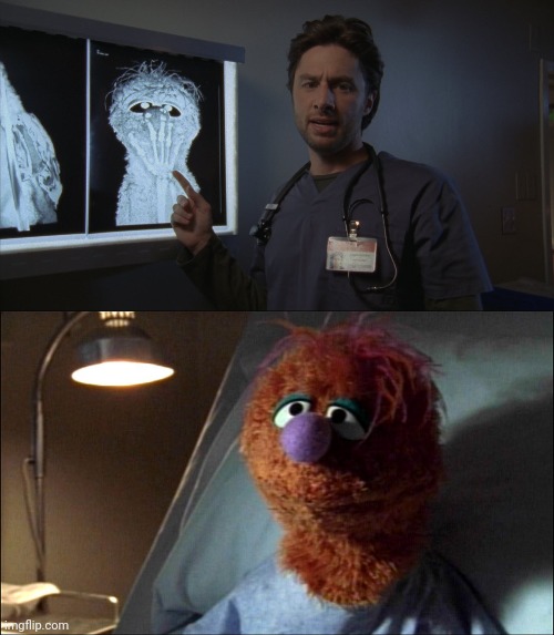 Scrubs x-ray and muppet Blank Meme Template