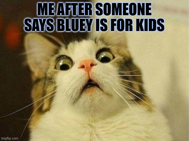 Scared Cat Meme | ME AFTER SOMEONE SAYS BLUEY IS FOR KIDS | image tagged in memes,scared cat | made w/ Imgflip meme maker