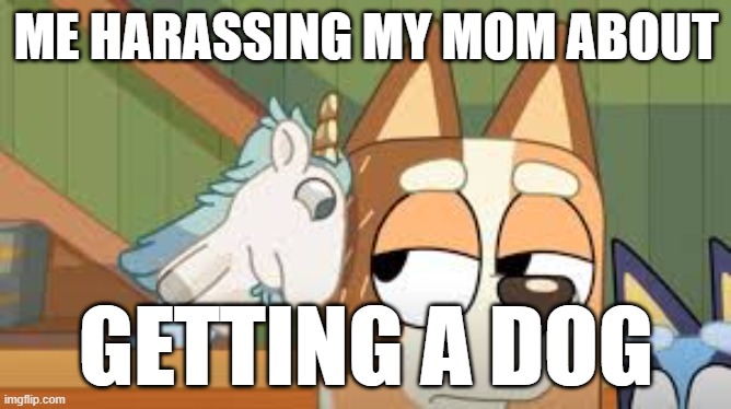 Me tho | ME HARASSING MY MOM ABOUT; GETTING A DOG | image tagged in bluey,love | made w/ Imgflip meme maker