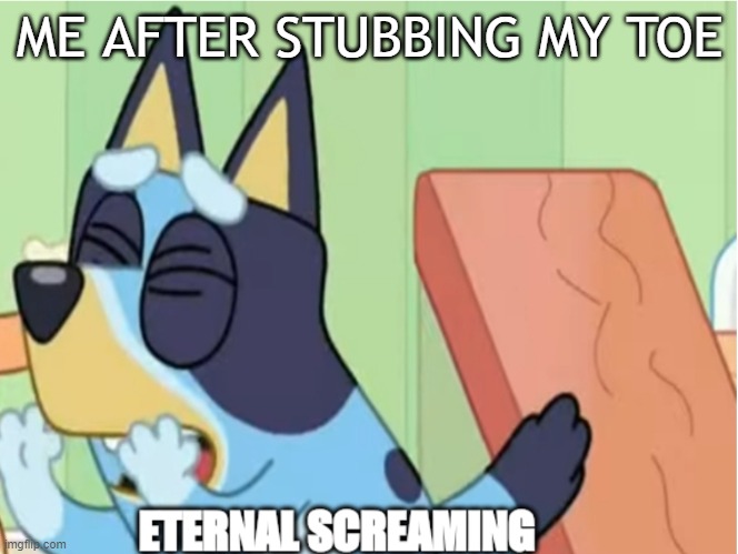 Bluey Eternal Screaming | ME AFTER STUBBING MY TOE | image tagged in bluey eternal screaming,so true | made w/ Imgflip meme maker