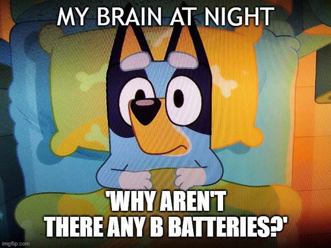 Bluey in bed | MY BRAIN AT NIGHT; 'WHY AREN'T THERE ANY B BATTERIES?' | image tagged in bluey in bed,confusing | made w/ Imgflip meme maker