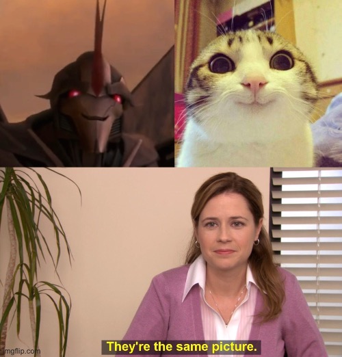 Starscream=Cat | image tagged in smiley starscream,smiling cat,they're the same picture,transformers,starscream | made w/ Imgflip meme maker