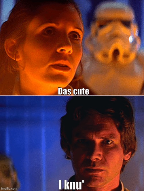 I know Solo MEME | Das cute I knu' | image tagged in i know solo meme | made w/ Imgflip meme maker