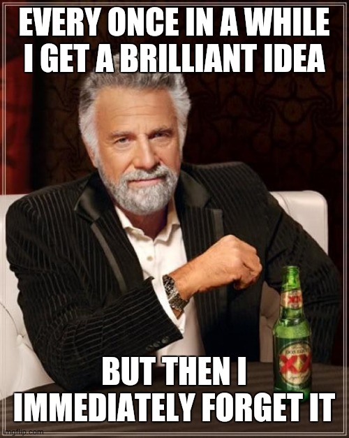 The Most Interesting Man In The World Meme | EVERY ONCE IN A WHILE I GET A BRILLIANT IDEA BUT THEN I IMMEDIATELY FORGET IT | image tagged in memes,the most interesting man in the world | made w/ Imgflip meme maker