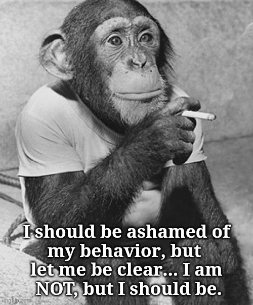 Ashamed, NOT | I should be ashamed of
my behavior, but 
let me be clear... I am
 NOT, but I should be. | image tagged in smoking chimpanzee,shameless | made w/ Imgflip meme maker