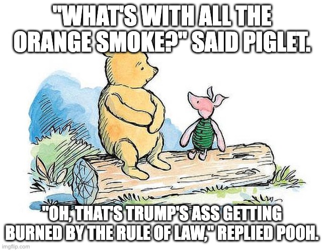 WINNIE THE POOH AND PIGLET | "WHAT'S WITH ALL THE ORANGE SMOKE?" SAID PIGLET. "OH, THAT'S TRUMP'S ASS GETTING BURNED BY THE RULE OF LAW," REPLIED POOH. | image tagged in winnie the pooh and piglet | made w/ Imgflip meme maker