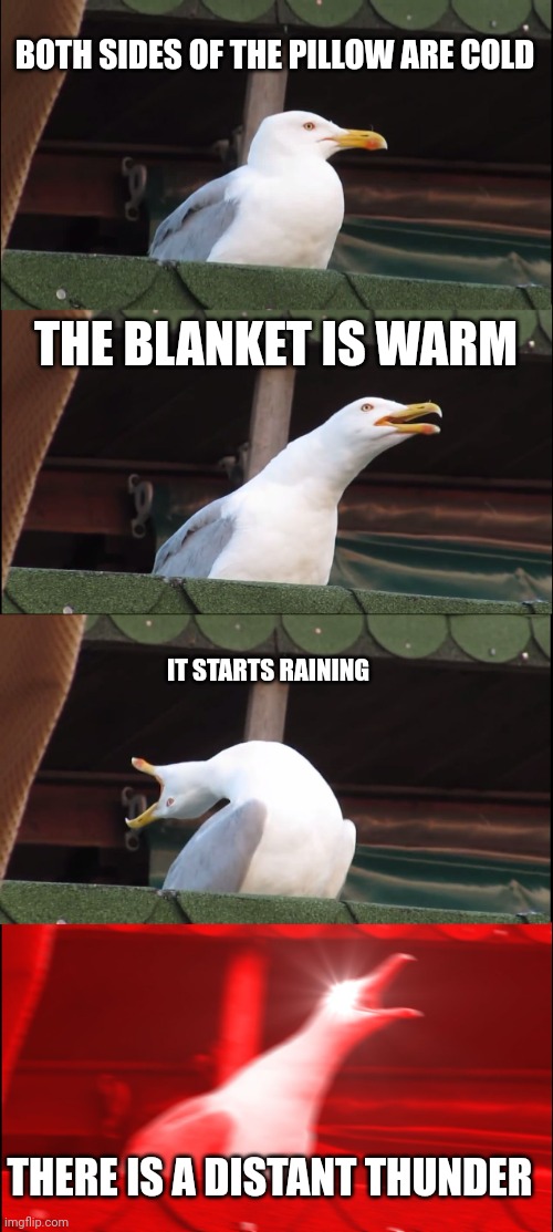 Best feeling ever ? | BOTH SIDES OF THE PILLOW ARE COLD; THE BLANKET IS WARM; IT STARTS RAINING; THERE IS A DISTANT THUNDER | image tagged in memes,inhaling seagull,the best,funny | made w/ Imgflip meme maker
