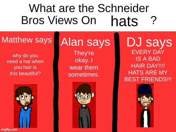 I made a template with my ocs! | hats; EVERY DAY IS A BAD HAIR DAY!!!! HATS ARE MY BEST FRIENDS!!! why do you need a hat when you hair is this beautiful? They're okay. I wear them sometimes. | image tagged in schneider bros views | made w/ Imgflip meme maker