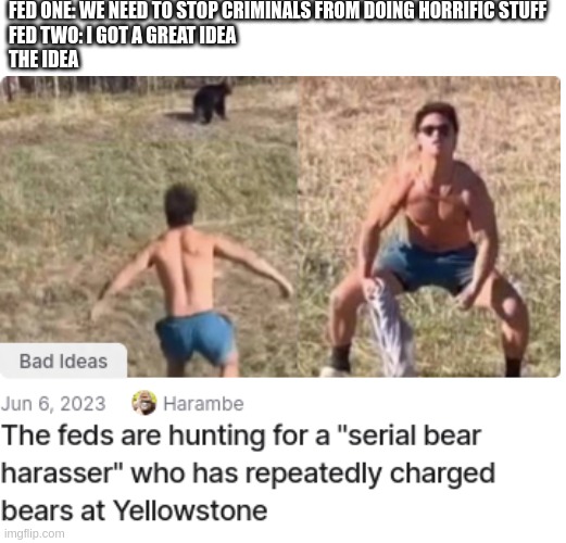 seriously? | FED ONE: WE NEED TO STOP CRIMINALS FROM DOING HORRIFIC STUFF
FED TWO: I GOT A GREAT IDEA
THE IDEA | image tagged in meme,politics,feds | made w/ Imgflip meme maker