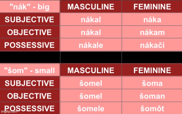 Study your MSMGian adjective declensions. | made w/ Imgflip meme maker