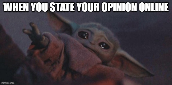 Baby yoda cry | WHEN YOU STATE YOUR OPINION ONLINE | image tagged in baby yoda cry | made w/ Imgflip meme maker