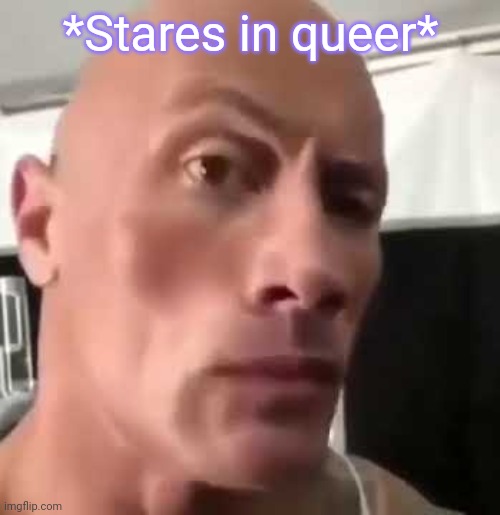 The Rock Eyebrows | *Stares in queer* | image tagged in the rock eyebrows | made w/ Imgflip meme maker