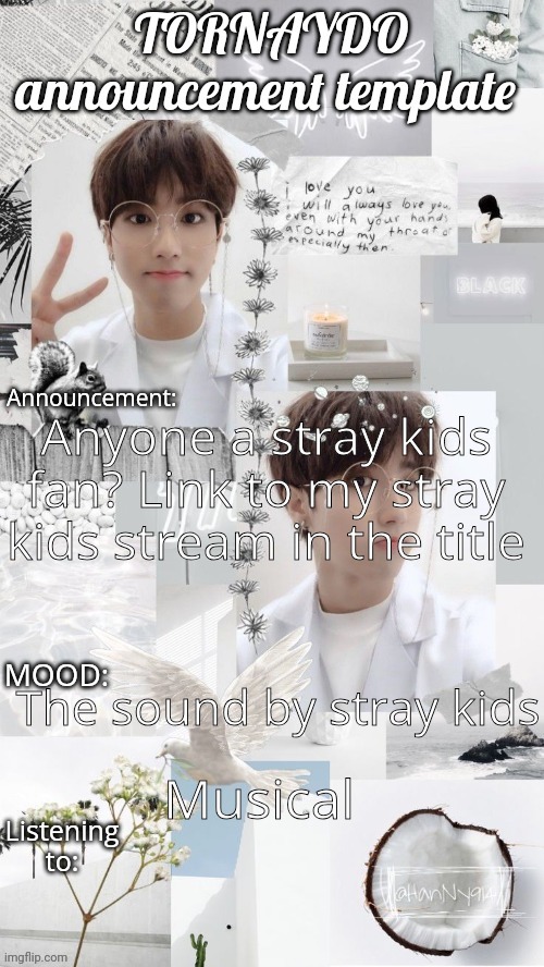imgflip.com/m/stays | Anyone a stray kids fan? Link to my stray kids stream in the title; The sound by stray kids; Musical | image tagged in tornaydo announcement template | made w/ Imgflip meme maker