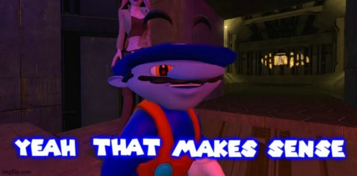 Mario that make sense | image tagged in mario that make sense | made w/ Imgflip meme maker