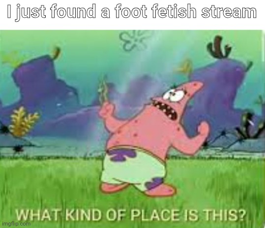 Help (not harassing them) | I just found a foot fetish stream | image tagged in patrick what kind of place is this | made w/ Imgflip meme maker