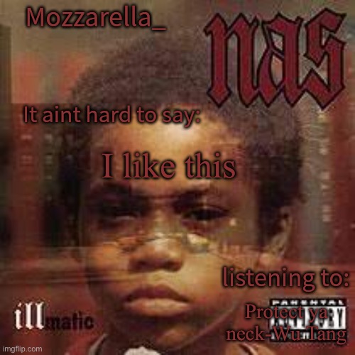 illmatic | I like this; Protect ya neck-Wu Tang | image tagged in illmatic | made w/ Imgflip meme maker