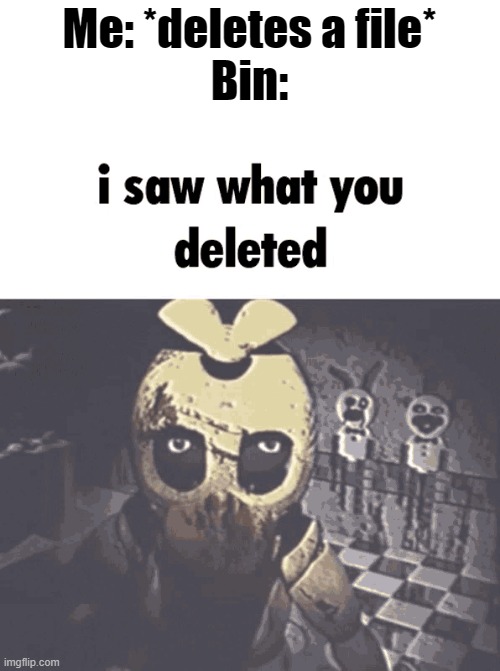 Seriously. | Me: *deletes a file*
Bin: | image tagged in i saw what you deleted | made w/ Imgflip meme maker