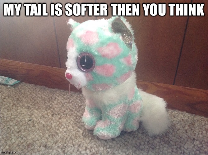 Floofey tail cat | MY TAIL IS SOFTER THEN YOU THINK | image tagged in is this a pigeon | made w/ Imgflip meme maker