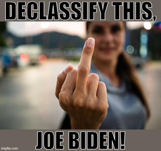 Joe Biden is a sham and a traitor. | DECLASSIFY THIS, JOE BIDEN! | image tagged in joe biden | made w/ Imgflip meme maker
