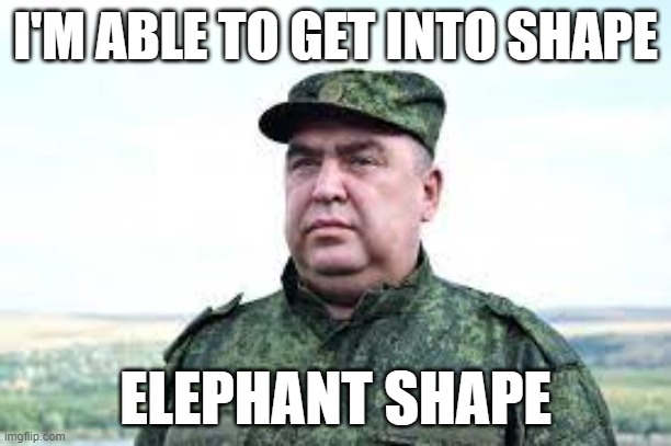 Captain Hippo | I'M ABLE TO GET INTO SHAPE; ELEPHANT SHAPE | image tagged in captain hippo | made w/ Imgflip meme maker