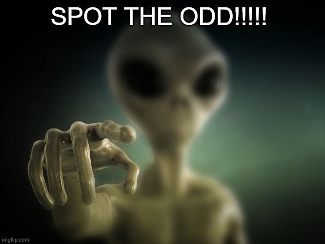 you | SPOT THE ODD!!!!! | image tagged in you | made w/ Imgflip meme maker