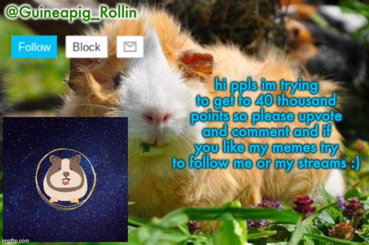 Guineapig_Rollin announcement template | hi ppls im trying to get to 40 thousand points so please upvote and comment and if you like my memes try to follow me or my streams :) | image tagged in guineapig_rollin announcement template,imnotupvotebegging,i just want forty thousand points,so i can have blue logo | made w/ Imgflip meme maker