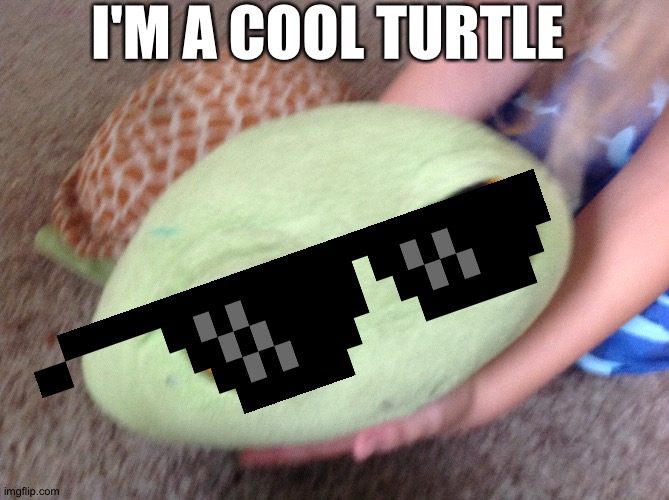 Turtle | I'M A COOL TURTLE | image tagged in pizza | made w/ Imgflip meme maker